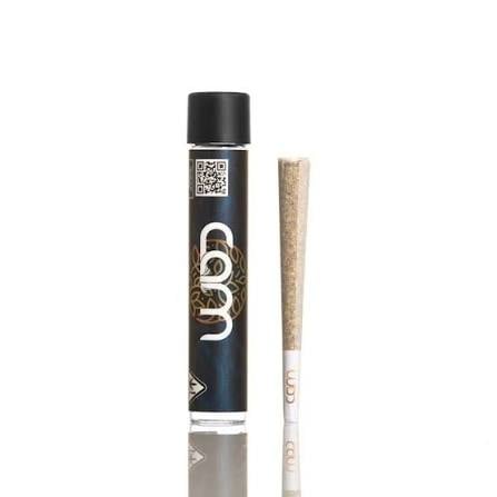 CAM: Hashburger - 1g Preroll