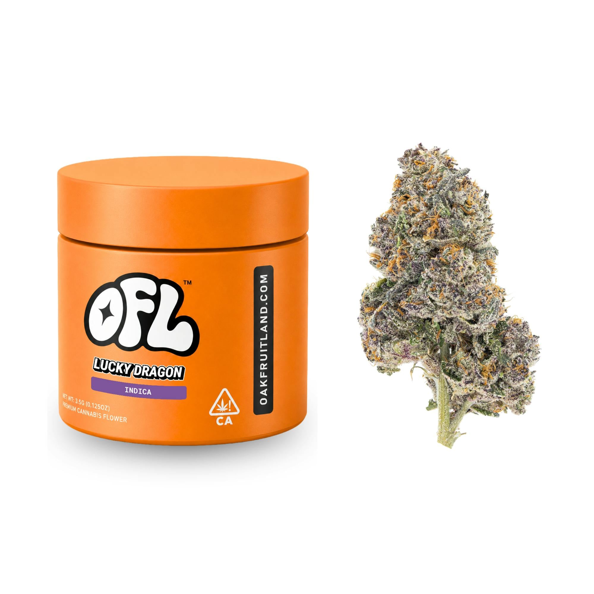 Oakfruitland: Lucky Dragon