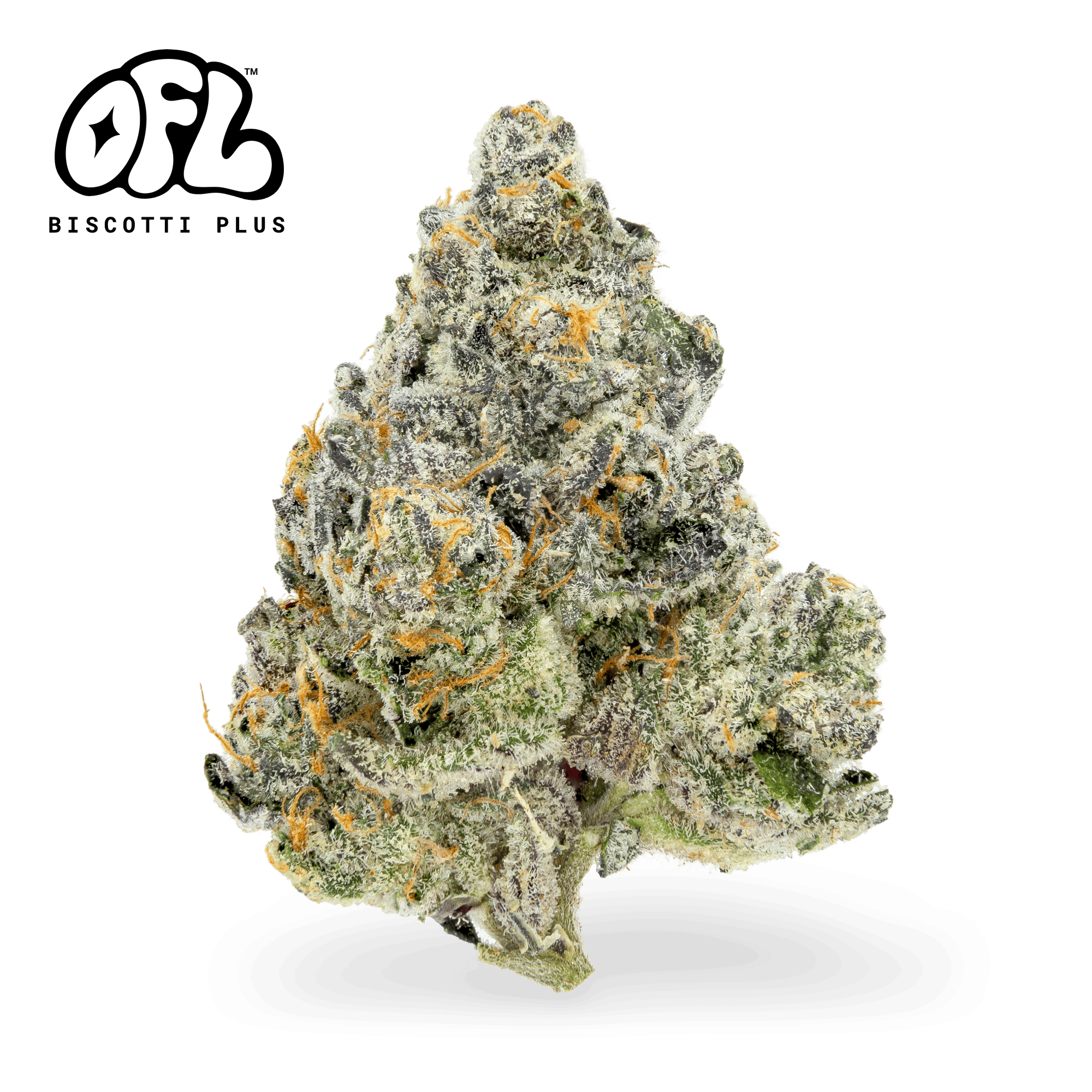 Oakfruitland (OFL): Biscotti Plus