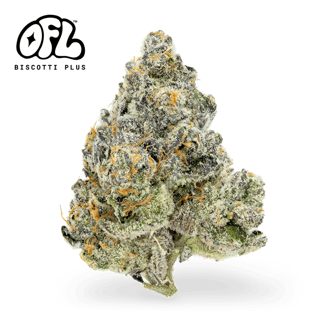 Oakfruitland (OFL): Biscotti Plus